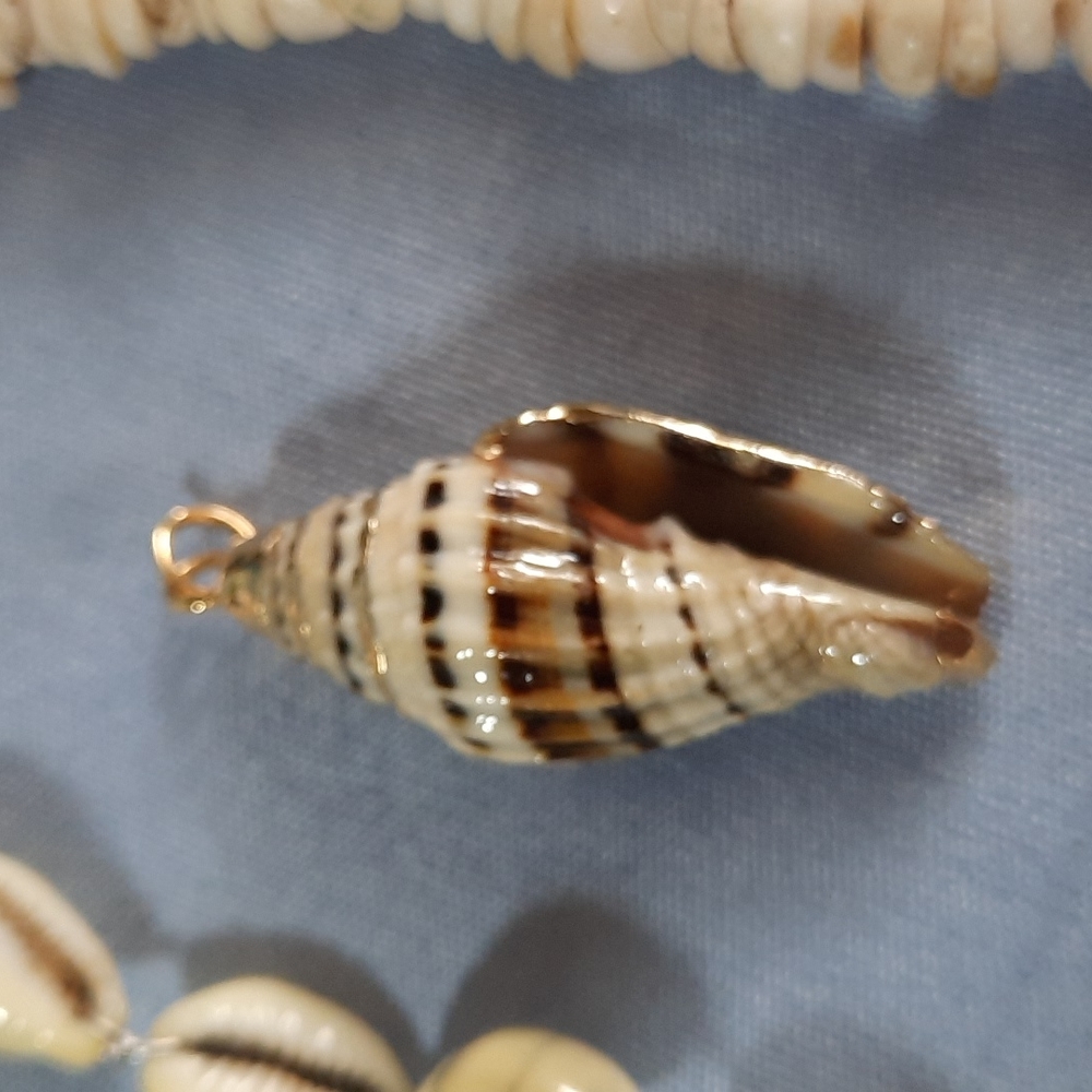 2 Necklaces, 1 Shell Charm, Set - Picture 2 of 5